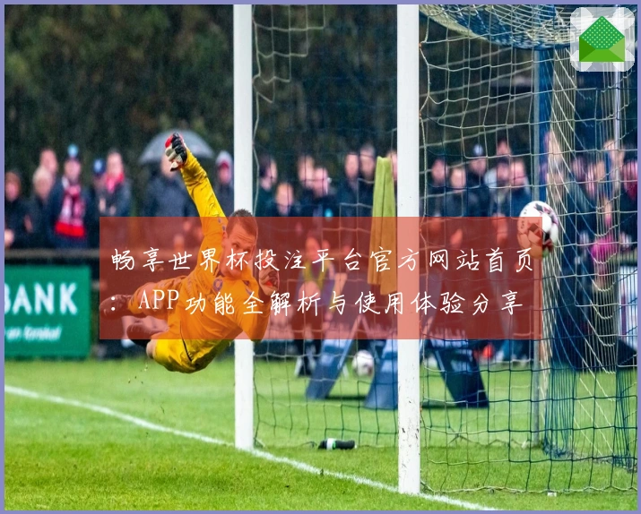 畅享世界杯投注平台官方网站首页：APP功能全解析与使用体验分享