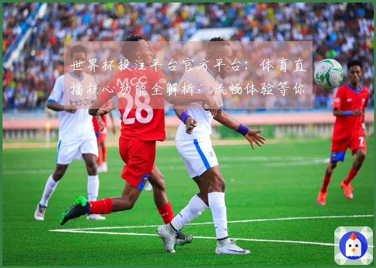 世界杯投注平台官方平台：体育直播核心功能全解析，流畅体验等你来！
