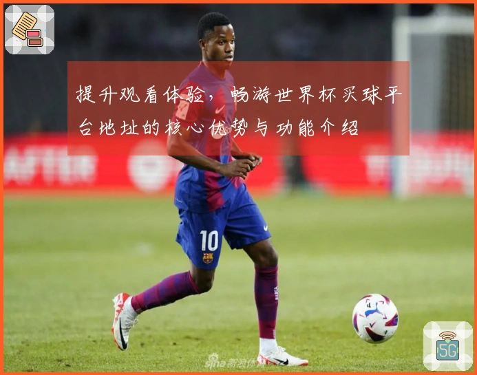 提升观看体验，畅游世界杯买球平台地址的核心优势与功能介绍