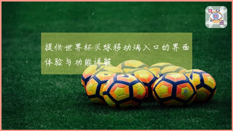 提供世界杯买球移动端入口的界面体验与功能详解