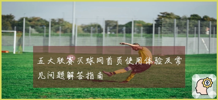 五大联赛买球网首页使用体验及常见问题解答指南