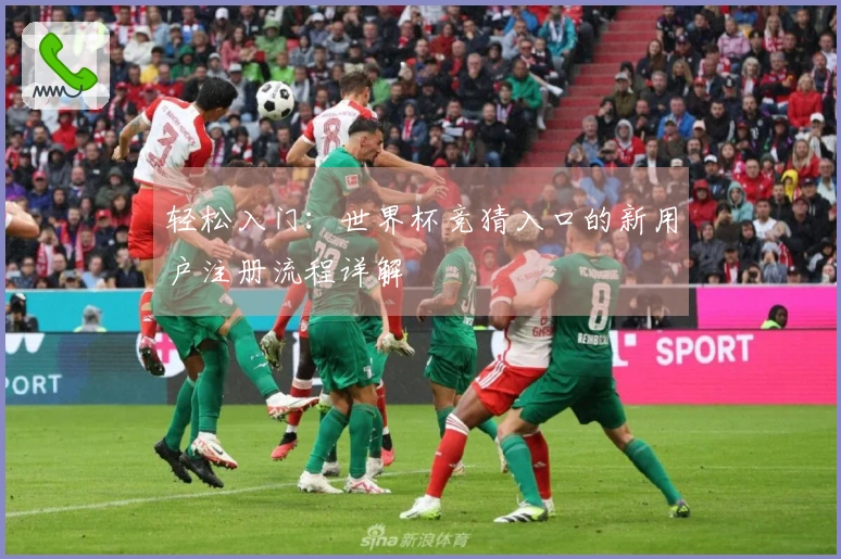 轻松入门：世界杯竞猜入口的新用户注册流程详解