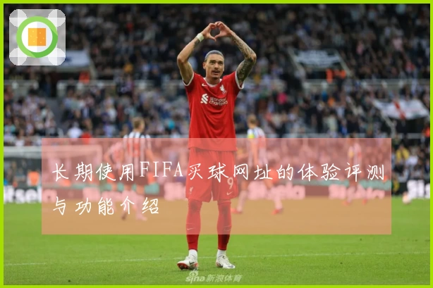 长期使用FIFA买球网址的体验评测与功能介绍