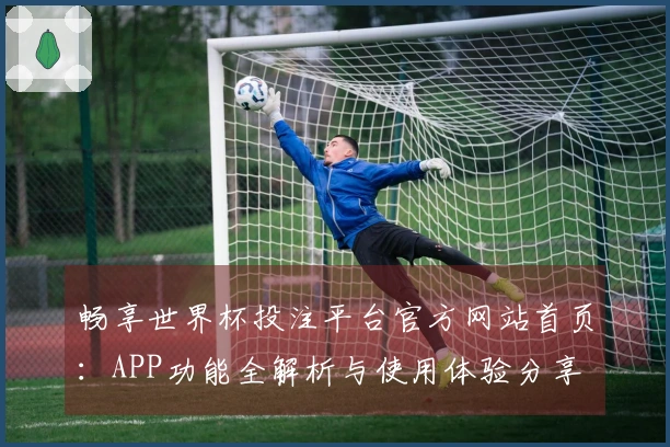 畅享世界杯投注平台官方网站首页：APP功能全解析与使用体验分享