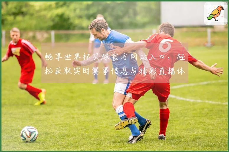 畅享世界杯买球官方网站入口，轻松获取实时赛事信息与精彩直播体验