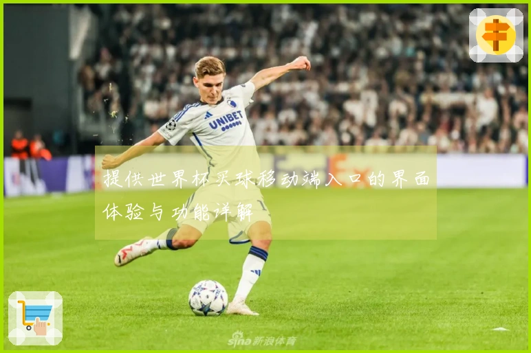 提供世界杯买球移动端入口的界面体验与功能详解