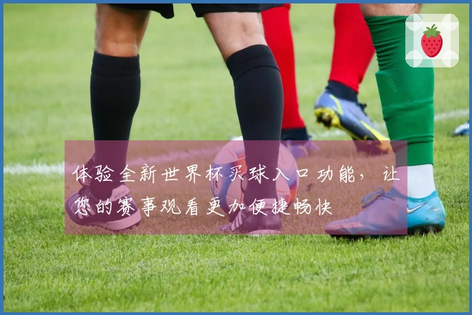 体验全新世界杯买球入口功能，让您的赛事观看更加便捷畅快
